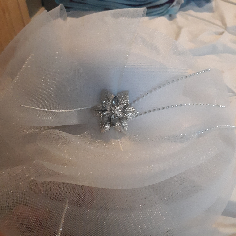 Fancy hat